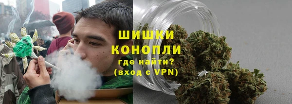 мдпв Волоколамск
