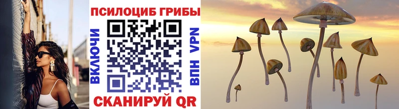 где продают   Миасс  Галлюциногенные грибы Cubensis 